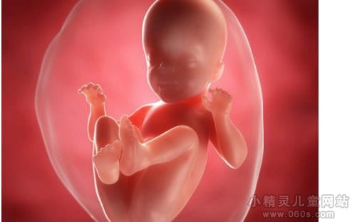 怀孕7月胎儿发育情况