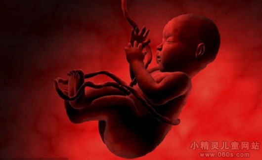 胎儿发育过程的注意事项 胎儿发育易发生的问题