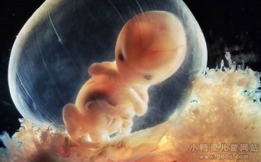 胎儿发育过程的注意事项 胎儿发育易发生的问题